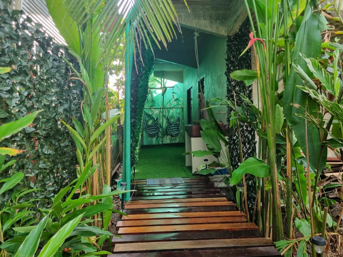 Wildlife Art Tortuguero Hotell Exteriör bild