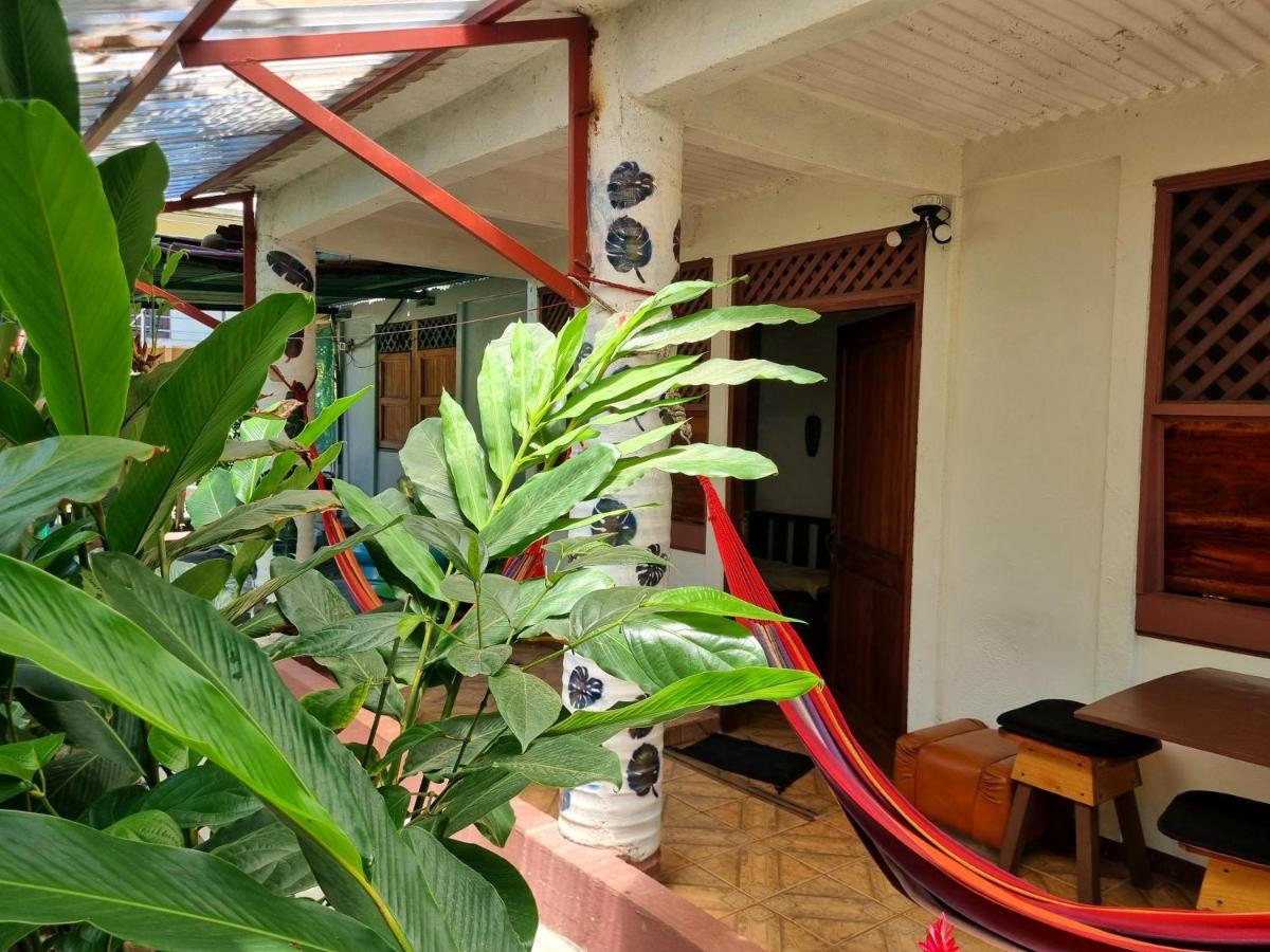 Wildlife Art Tortuguero Hotell Exteriör bild
