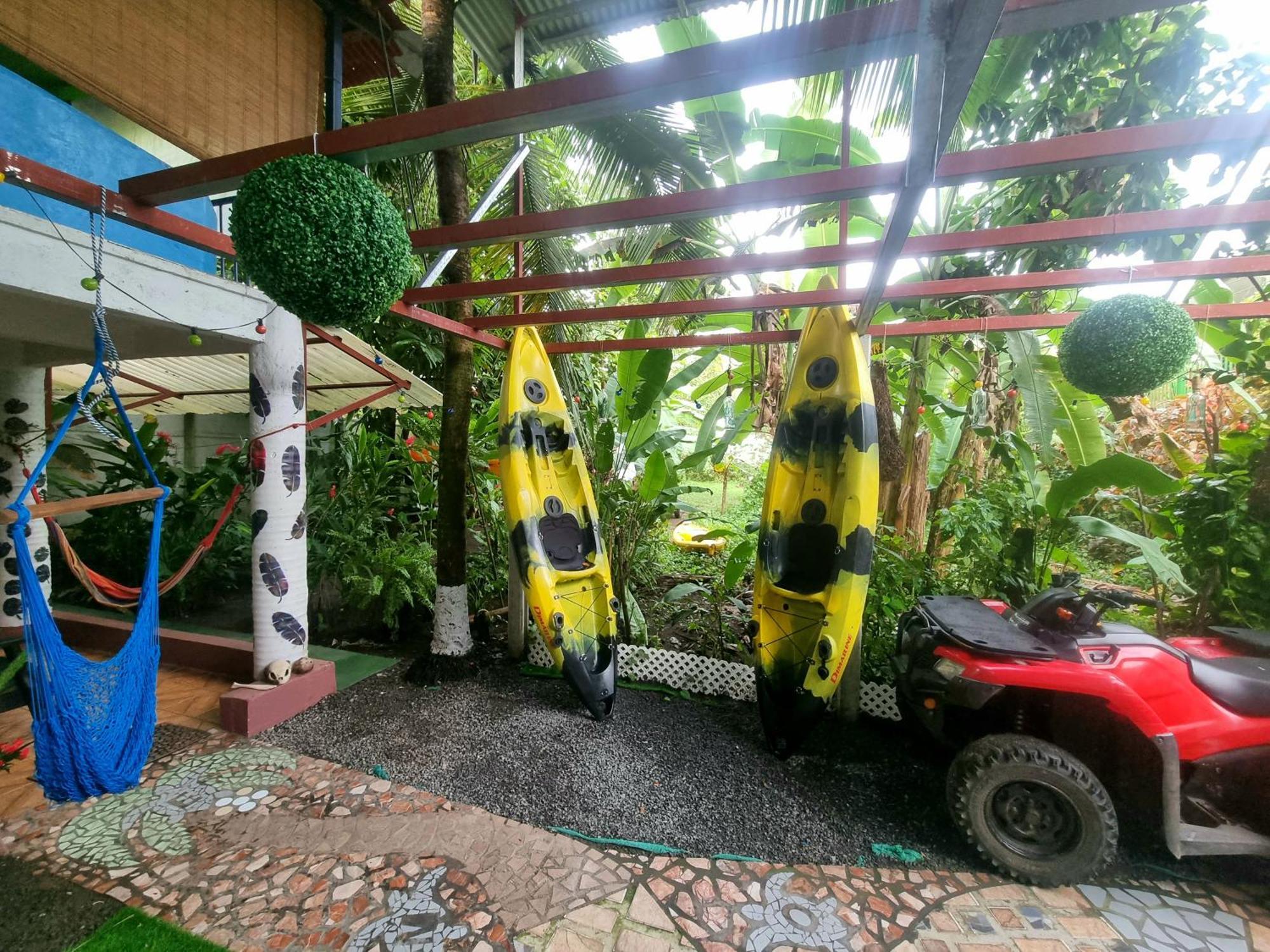 Wildlife Art Tortuguero Hotell Exteriör bild