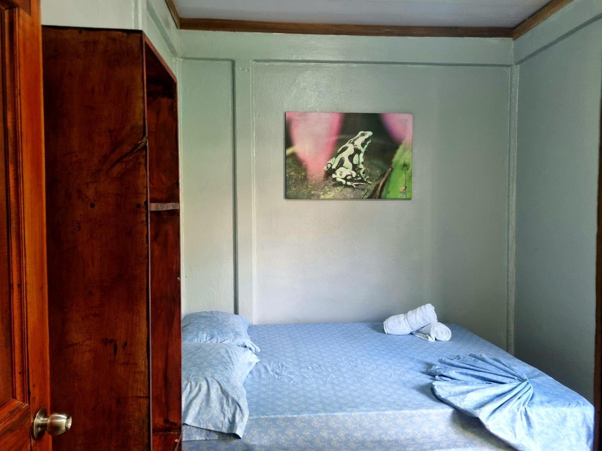Wildlife Art Tortuguero Hotell Exteriör bild
