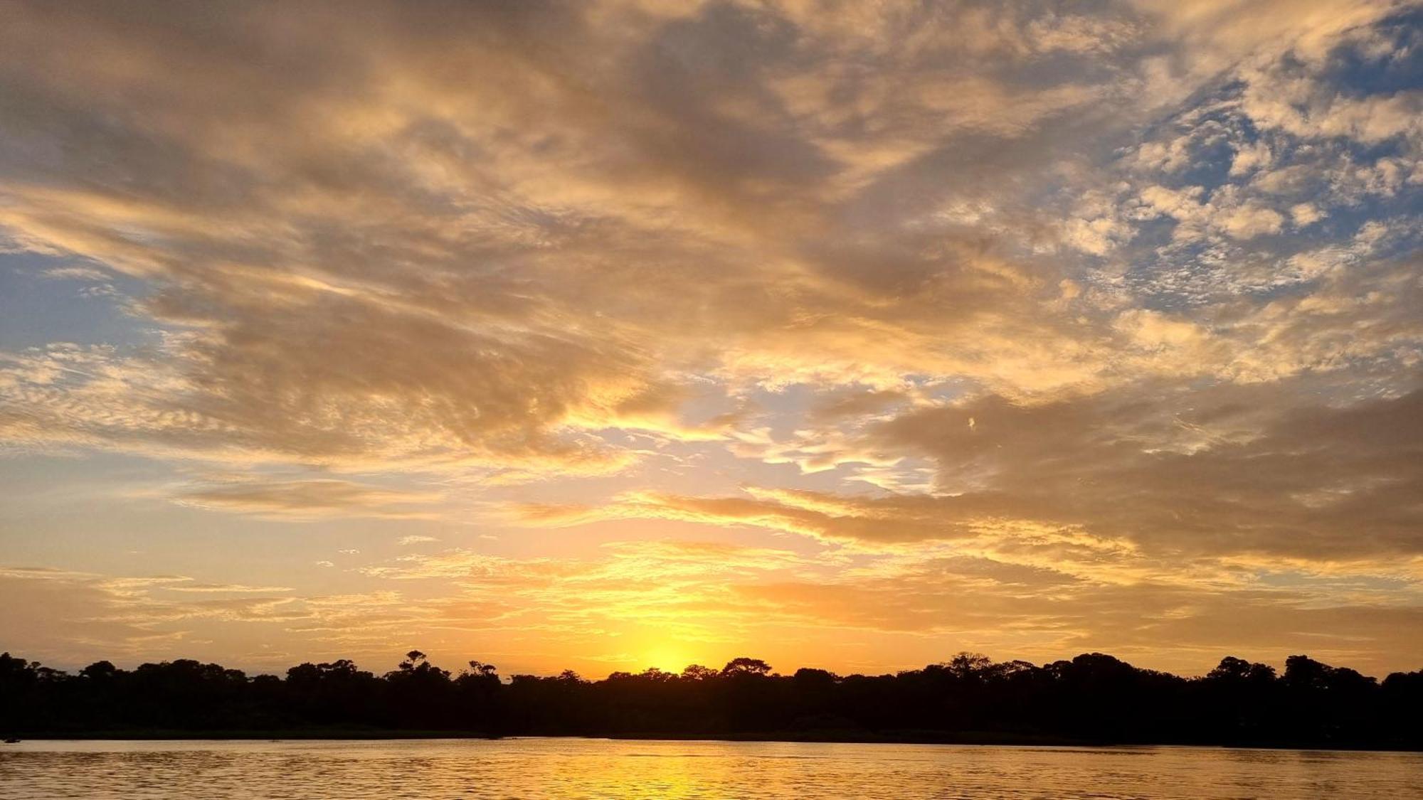 Wildlife Art Tortuguero Hotell Exteriör bild