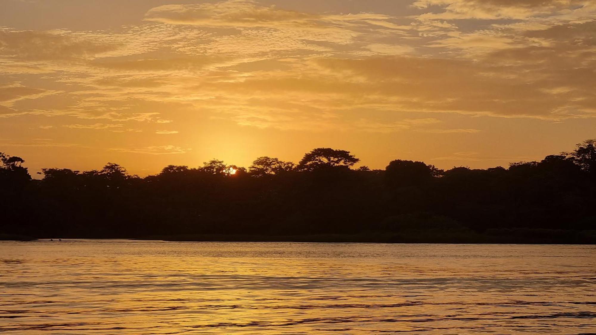 Wildlife Art Tortuguero Hotell Exteriör bild