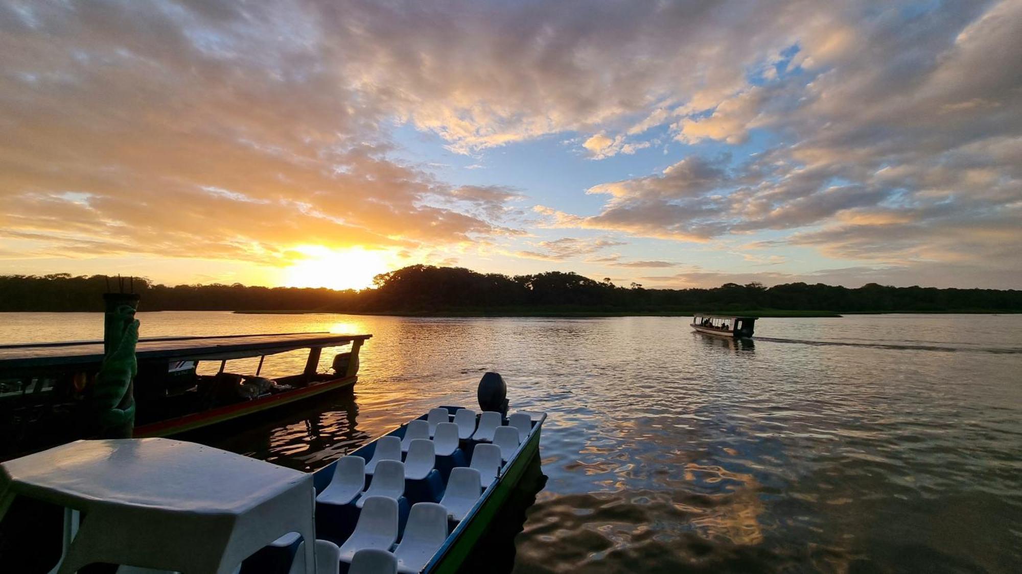 Wildlife Art Tortuguero Hotell Exteriör bild