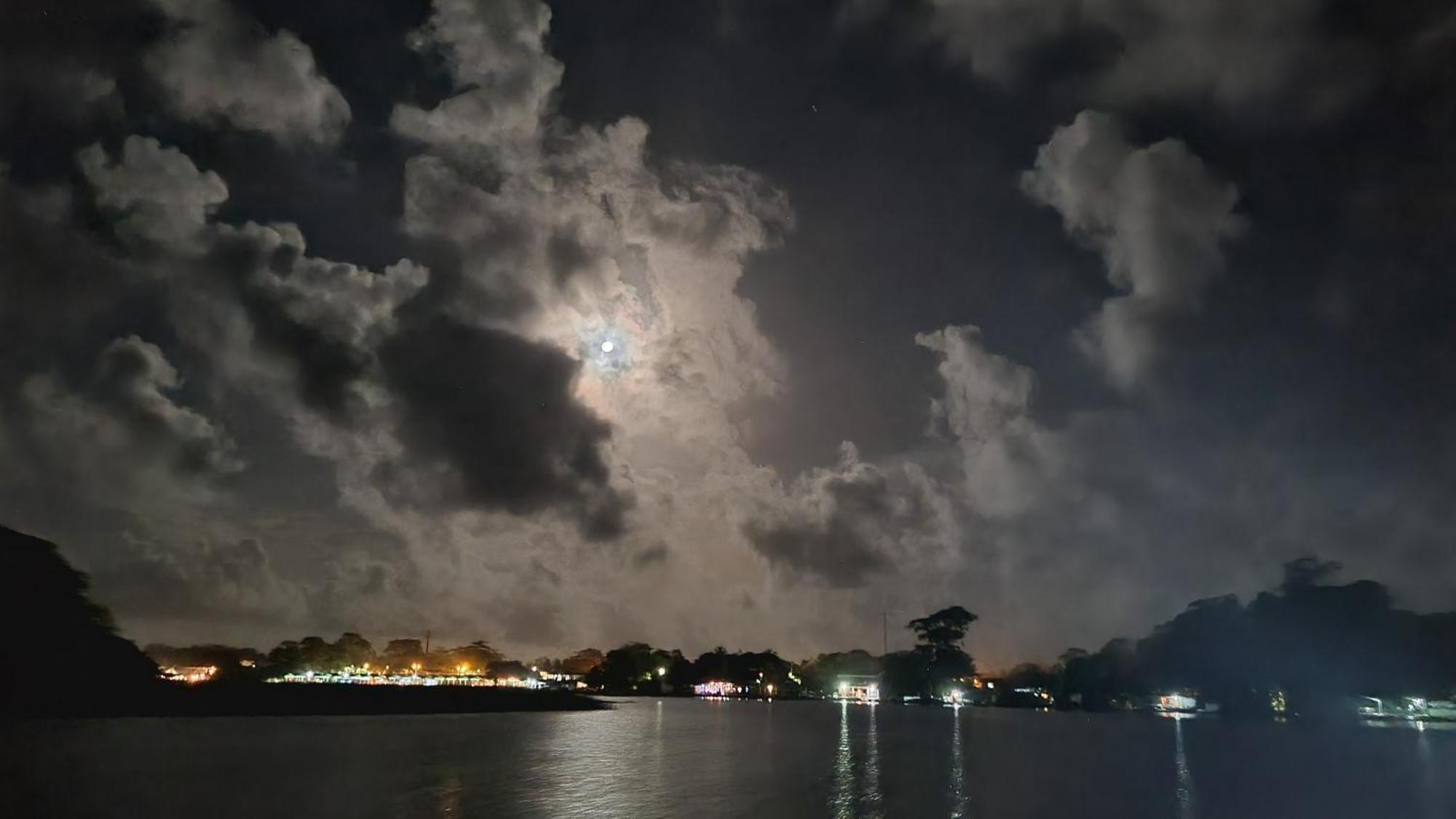 Wildlife Art Tortuguero Hotell Exteriör bild