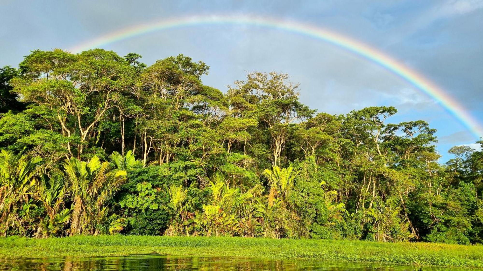 Wildlife Art Tortuguero Hotell Exteriör bild